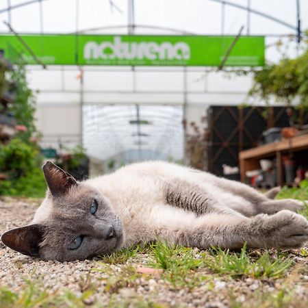 Naturena Agro-Turismo 두레스 외부 사진